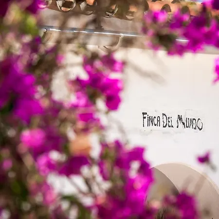 Finca Del Mundo Boutique B&B * Alhaurin el Grande