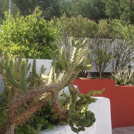 Finca Del Mundo Boutique B&B Bed & Breakfast *