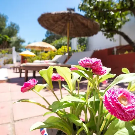 Bed & Breakfast Finca Del Mundo Boutique B&B