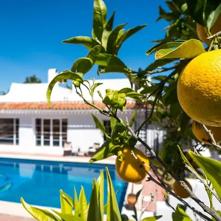 Finca Del Mundo Boutique B&B *